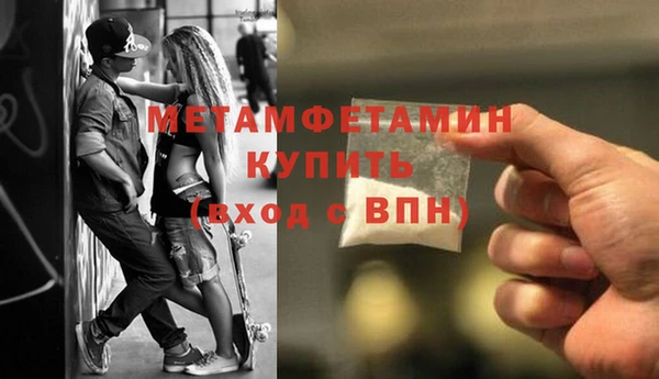 прущие грибы Бородино