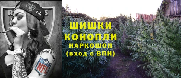 крисы Богородск
