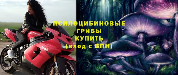 мяу мяу мука Богданович