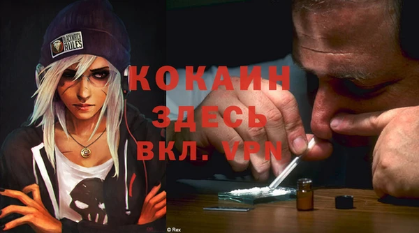 прущие грибы Бородино