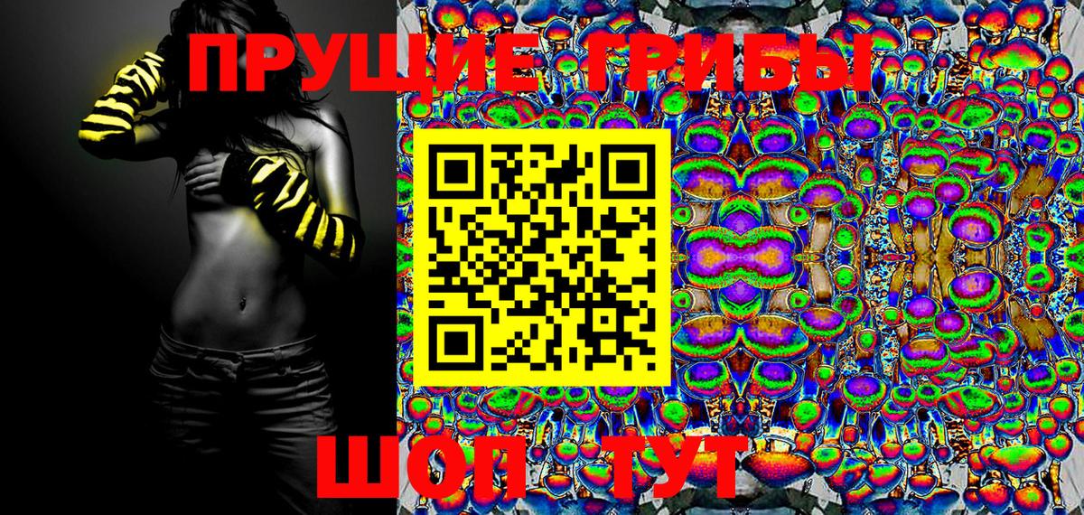 Псилоцибиновые грибы Magic Shrooms  Псилоцибиновые грибы мицелий  Гай 