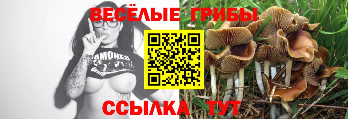 БУТИРАТ Гай