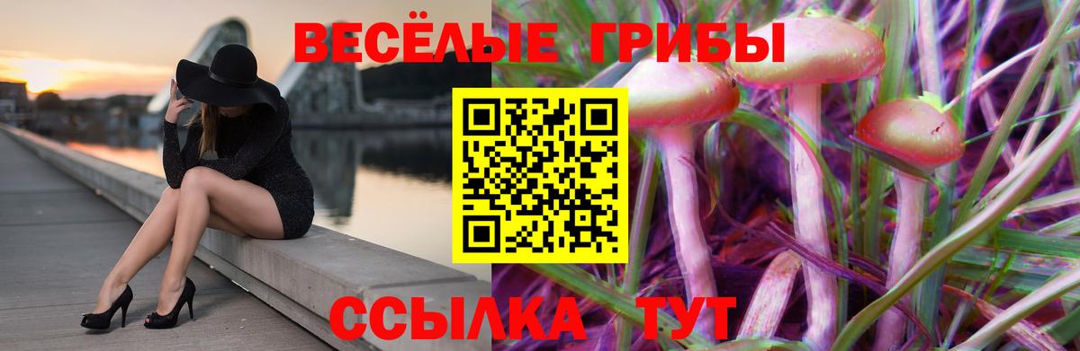 Псилоцибиновые грибы мицелий Гай